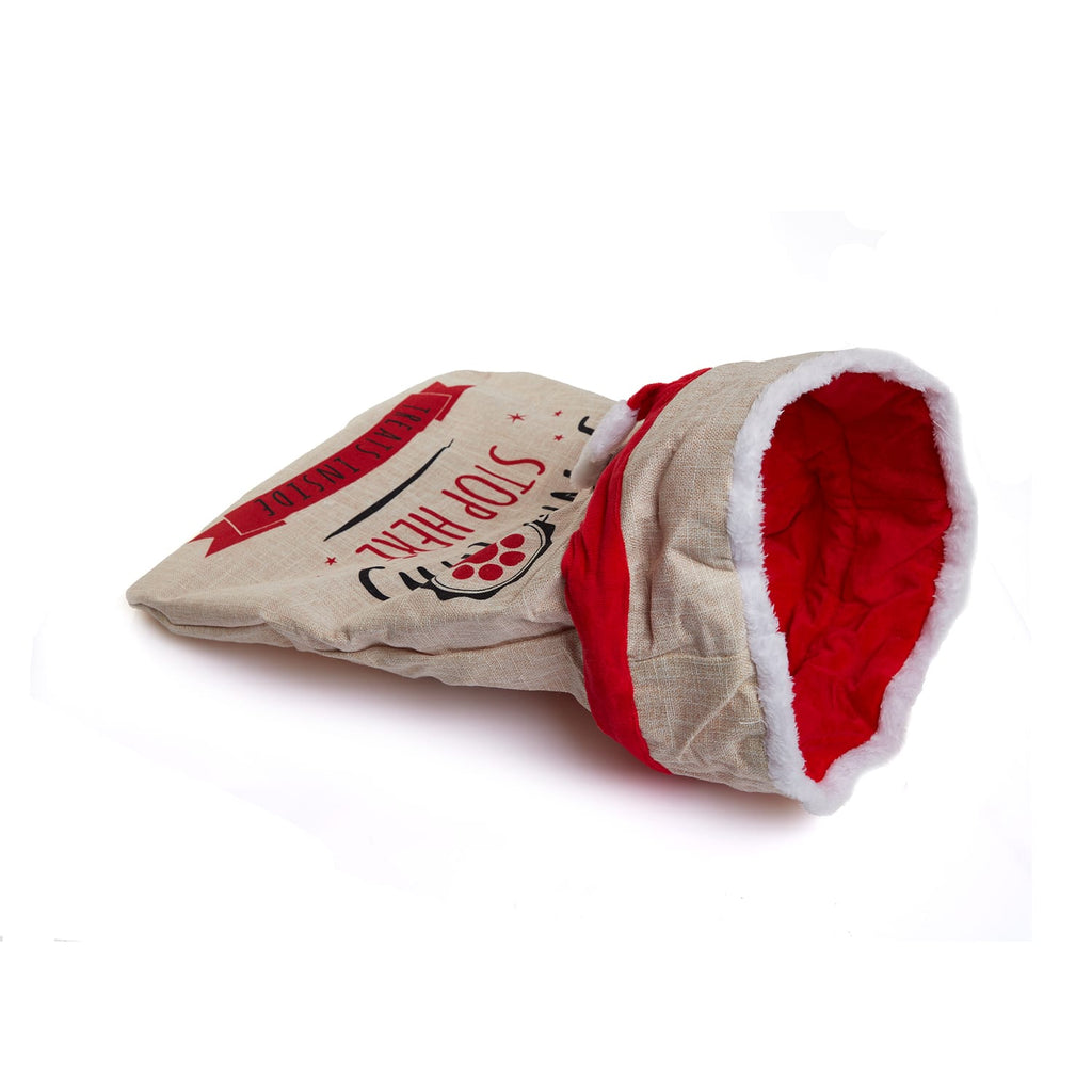 Martha's Jumbo Cat Crinkle Bag, product image 2