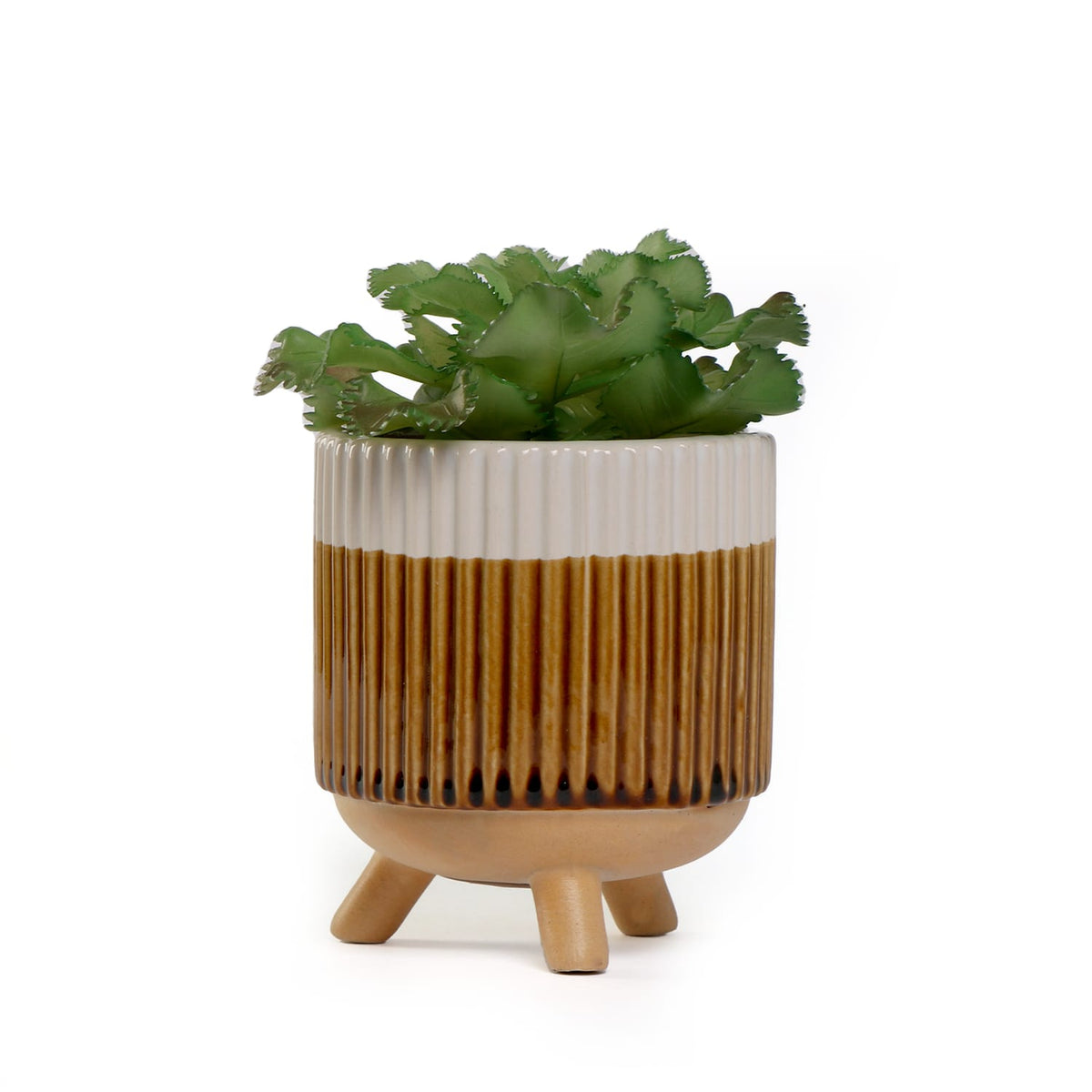 Home Collections Artificial Succulent In Pot, product image 6