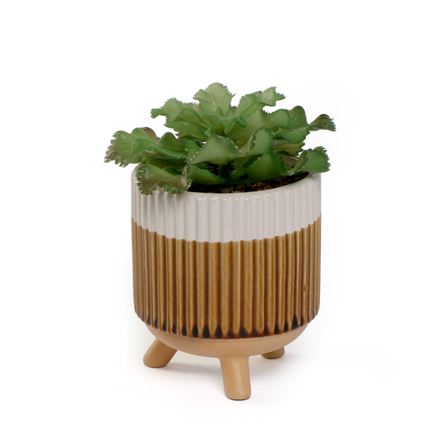 Home Collections Artificial Succulent In Pot, product image 4