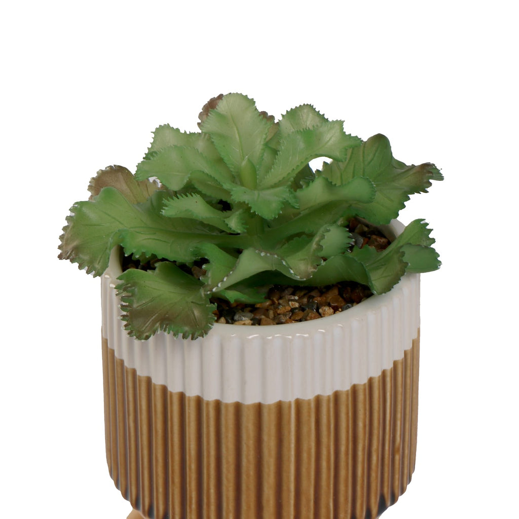 Home Collections Artificial Succulent In Pot, product image 5