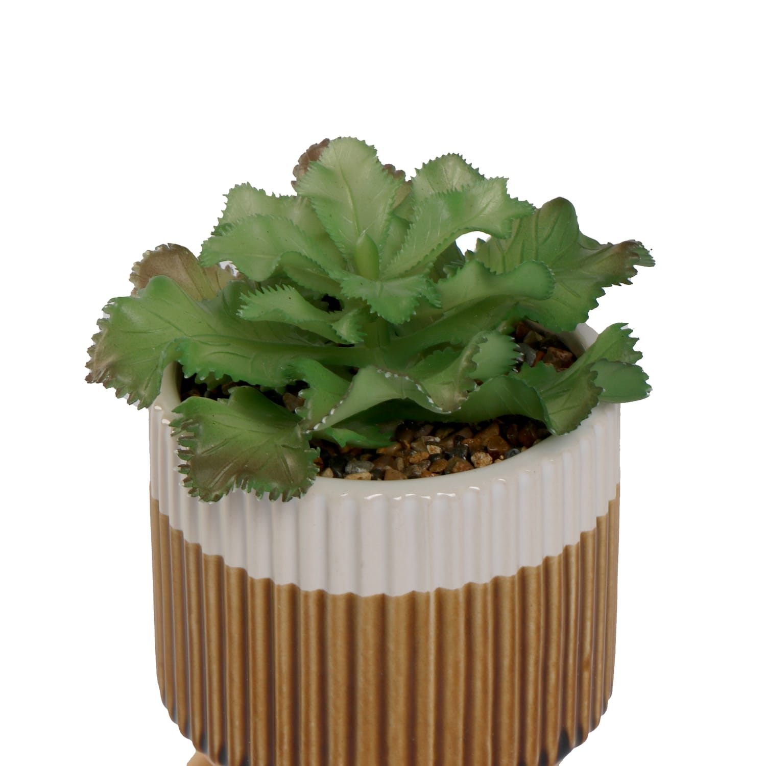 Home Collections Artificial Succulent In Pot, product image 5