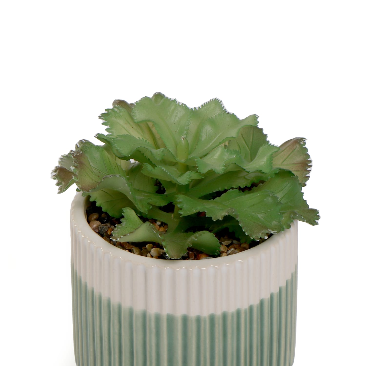 Home Collections Artificial Succulent In Pot, product image 2